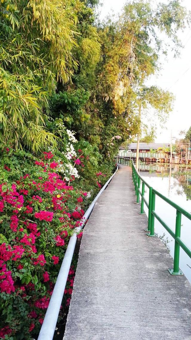 ขายคอนโด ซอยอ่อนนุช 21/1 ถนนสุขุมวิท 77 โครงการบ้านชมดาว (Baan Chom Dao) ห่างจาก BTS อ่อนนุช เพียง 1.62 กิโลเมตร  คอนโดกว้างเปิดโล่ง ลมเย็นทั้งวันเลย 15