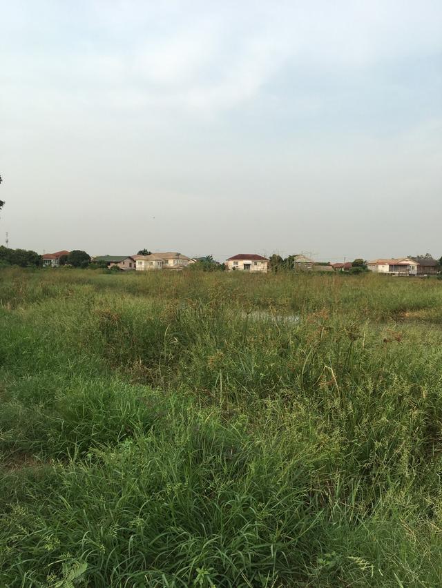 เนื้อที่ ทั้งหมด 46 ไร่ 2 งาน 20 ตารางวา 3