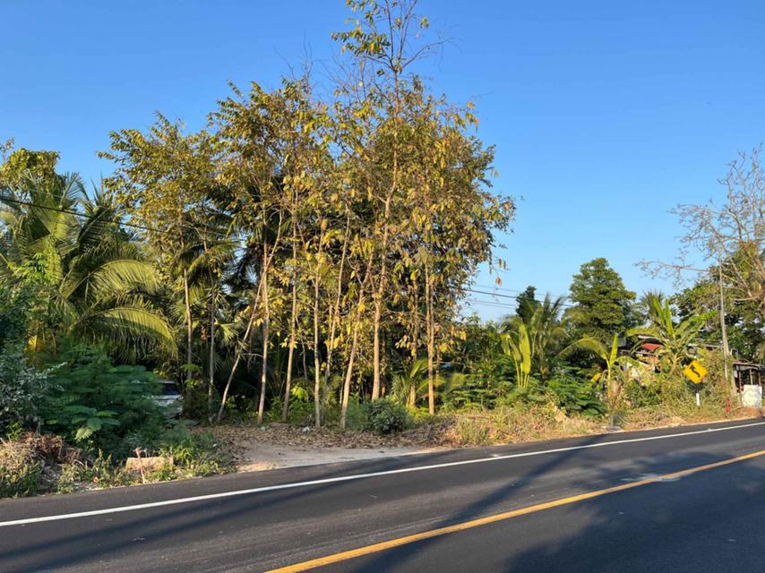 ขายที่ดิน 2-1-63 ไร่ อ.บางคนที จ.สมุทรสงคราม 7