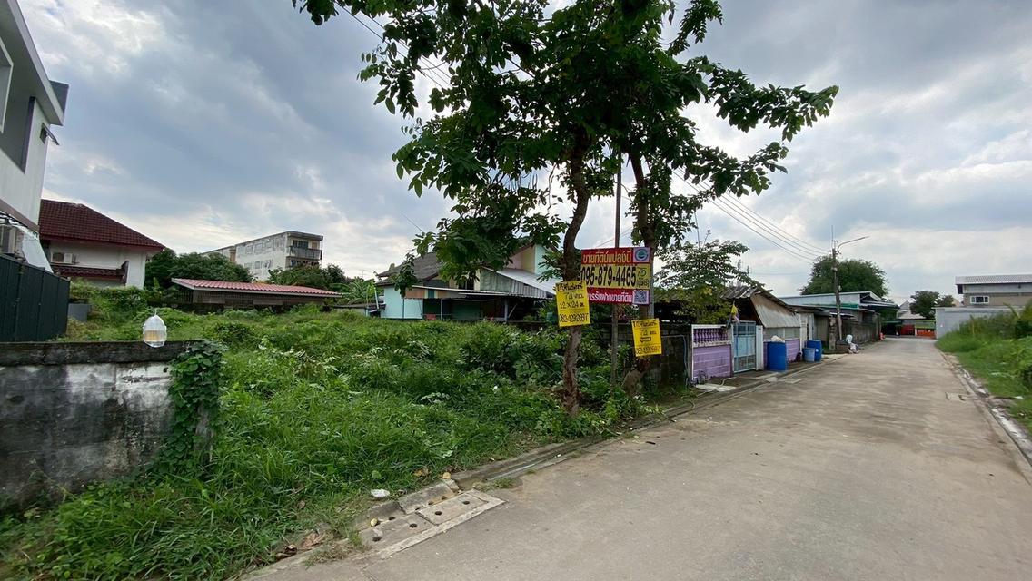 ขายด่วน ที่ดินใกล้เดอะมอลล์บางแค 75 ตารางวา ติดถนนคอนกรีตสาธารณะ ถมแล้ว ซอย เพชรเกษม 68 แยก 29 เขตภาษีเจริญ กทม. 4