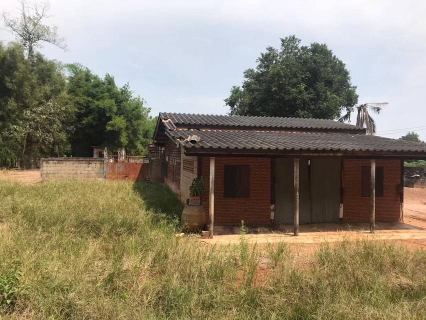 บ้านพร้อมที่ดิน13ไร่ 4