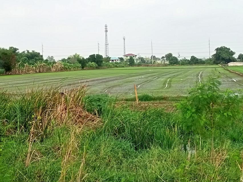 ขายที่ดิน ใกล้สถานีรถไฟฟ้าคลองหนึ่ง สายสีแดงเข้ม ทีมีโครงการที่จะสร้าง