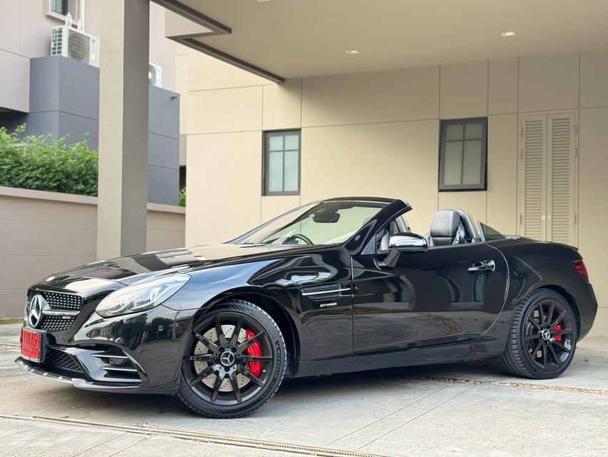 Slc43 AMG