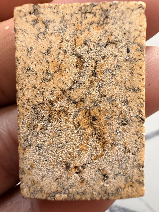 พระสมเด็จปกโพธิ์ เนื้อเหลือง รูปที่ 2