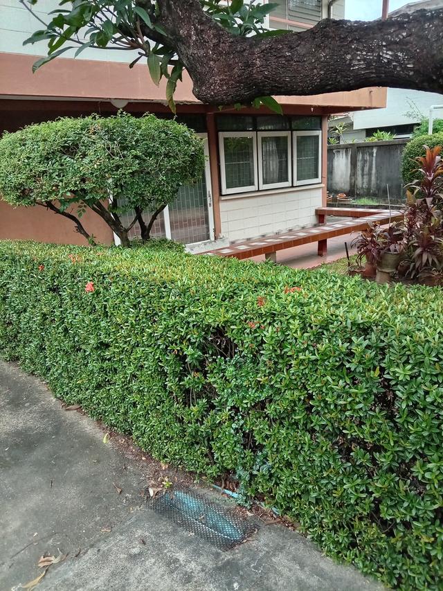 หมู่บ้านเสรี1หลังเดอะไนท์พระราม9 2