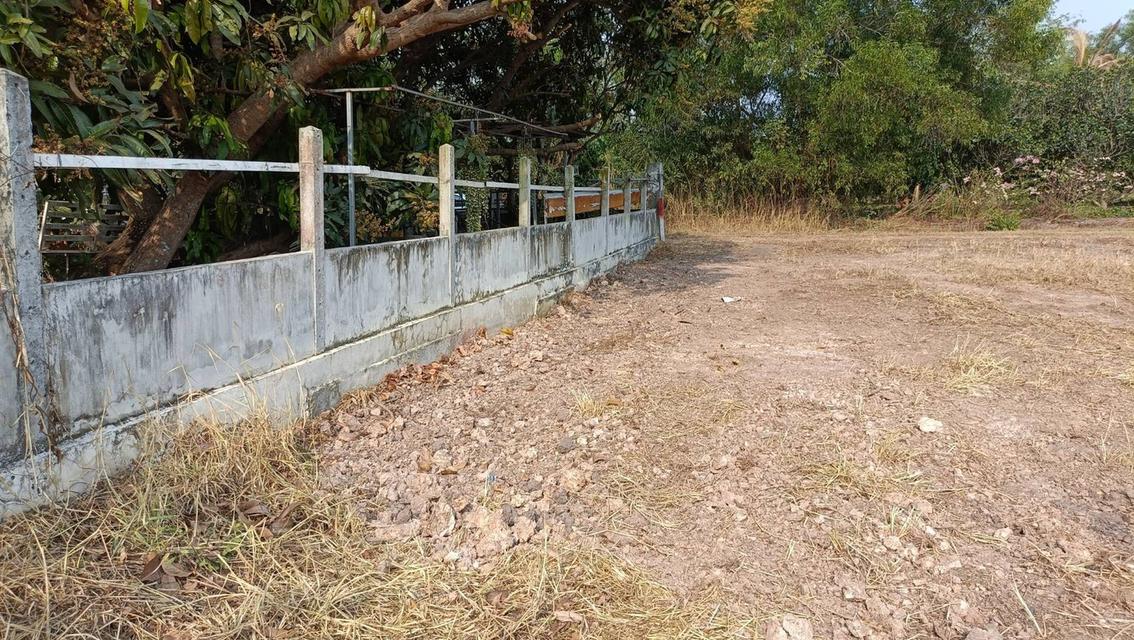 ขายที่ดินเนื้อที่ 2 ไร่ ติดรีสอร์ทบ้านสกายฟราวเวอร์ ต.หนองหมู อ.วิหารแดง จ.สระบุรี 3