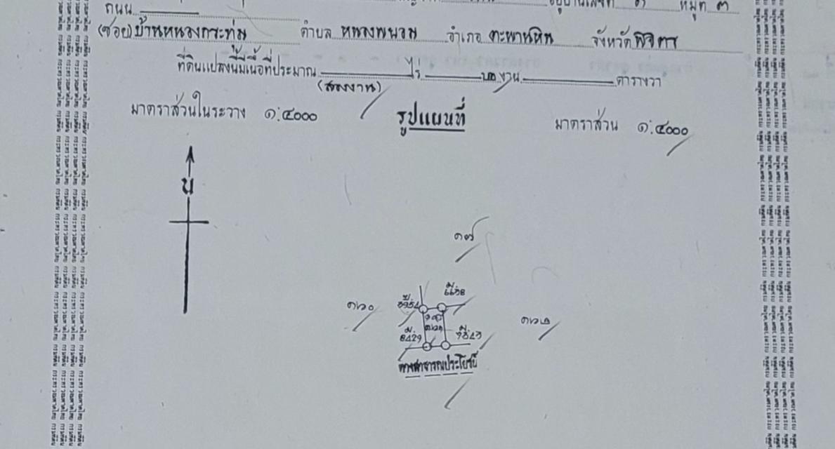 ขายที่ดินสวย โฉนดครุฑแดง น.ส.4 จ. ถมเรียบร้อย ติดถนน เนื้อที่ 2 งาน หรือ 200 ตารางวา พร้อมบ้าน จังหวัดพิจิตร อำเภอตะพานหิน 5