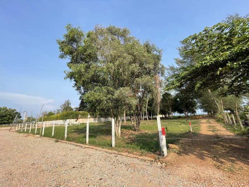 ขายถูกมาก !! ที่ดินติดทะเลระยอง 4 ไร่ ไม่มีถนนคั่น 7