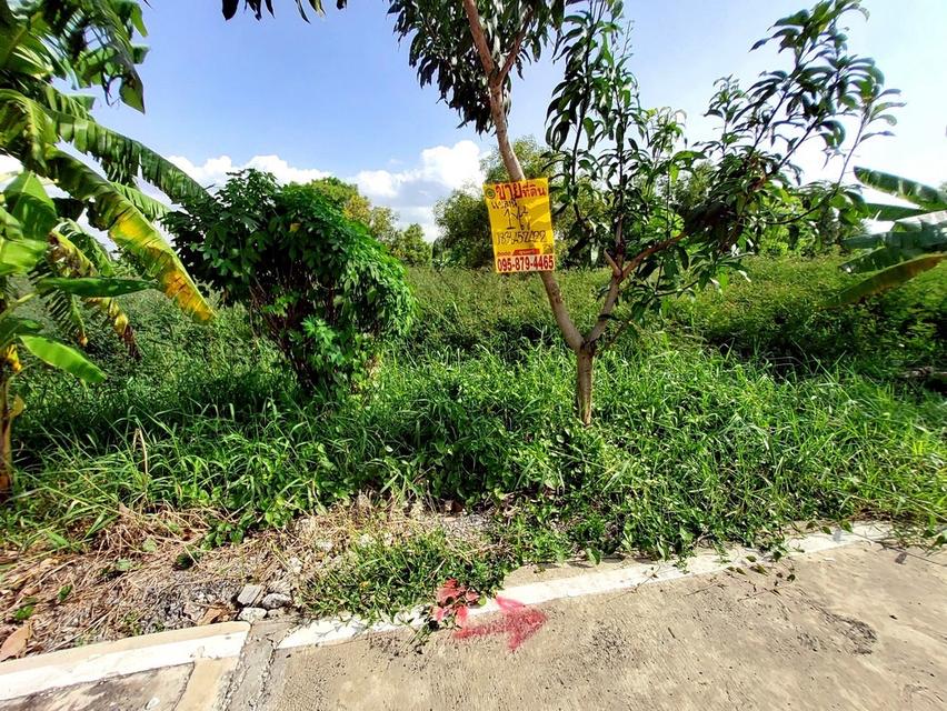 ที่พิน 10