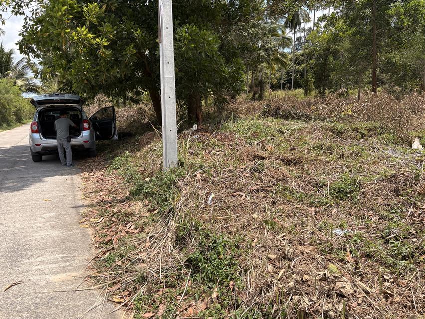 ขายที่ดิน เกาะสมุย ทำเลดีใกล้ทะเลใกล็ภูเขา รูปที่ 2