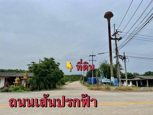 ขายที่ดินสวยเกาะจันทร์ ที่ดิน 1 ไร่ ทำเลดี อยู่ในแหล่งชุมชน เหมาะแก่การพักอาศัย