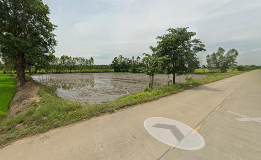 ที่ดินสวย 2 ไร่ 3 งาน สำหรับปลูกบ้านสวน มีไฟฟ้า ประปา ถนนคอนกรีต 2