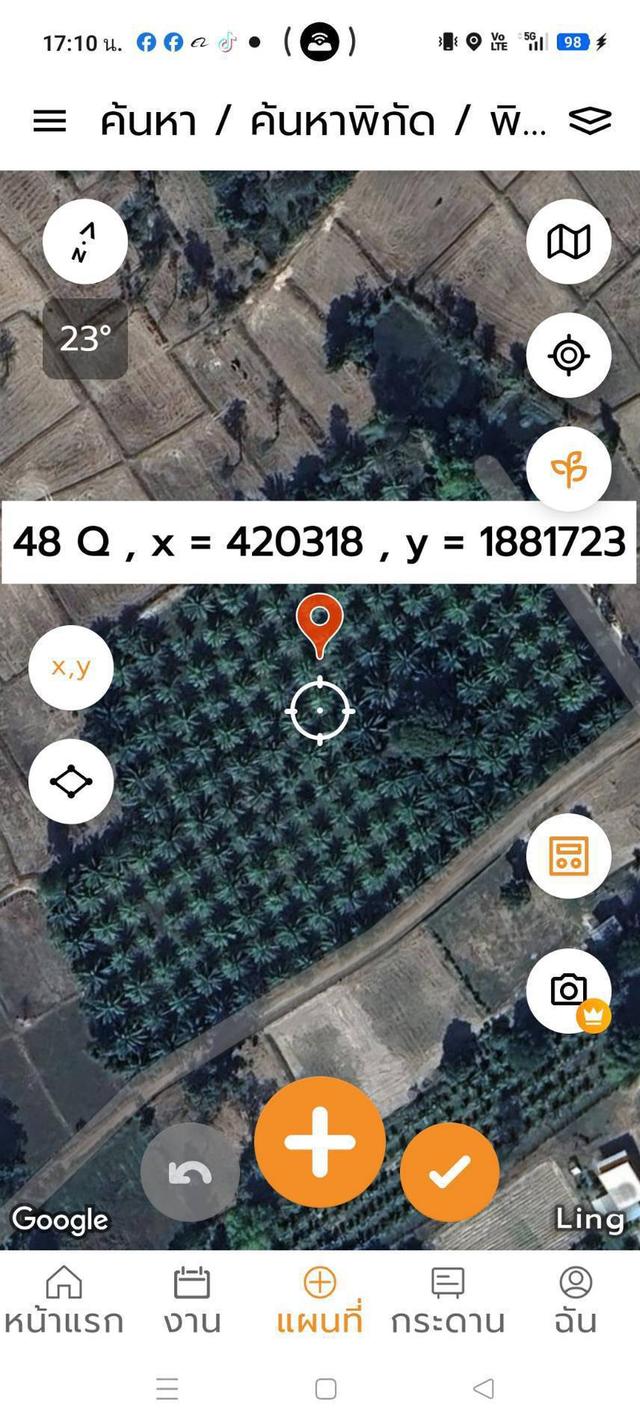 ขายที่ดินพร้อมสวนปาล์ม 2