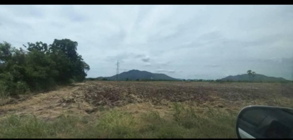 ขายที่ดินวิวองค์พระใหญ่เขาวงพระจันทร์ 3