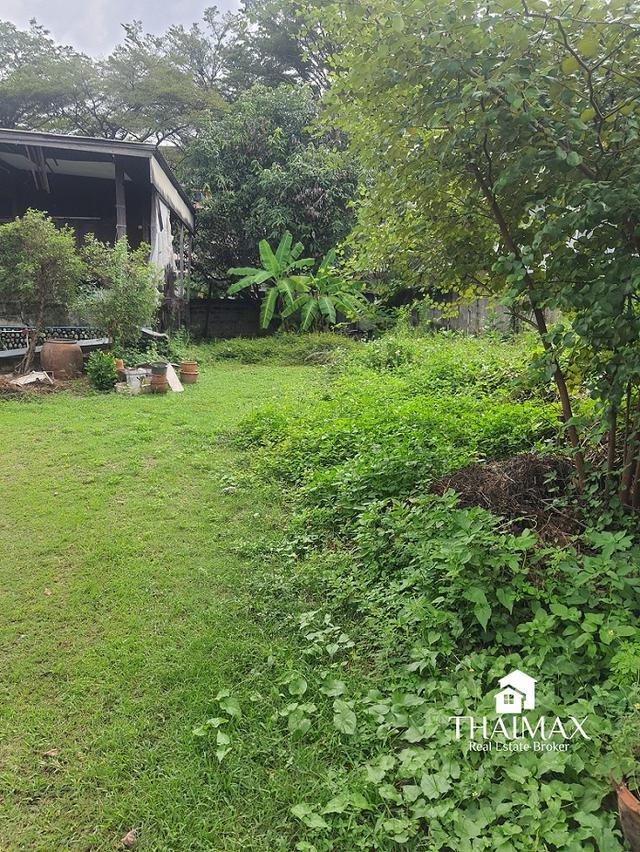 ขายที่ดิน 200 ตรว. ถนนหมื่นด้ามพร้าคต ทำเลกลางเมืองเชียงใหม่ ใกล้ ม.ราชภัฏฯ  และตลาดธานินทร์ 2