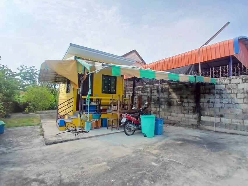 ขายที่ดินพร้อมสิ่งปลูกสร้าง ซอยวงศ์สว่าง19 (ซอยหมู่บ้านจงดีซ.4) 4