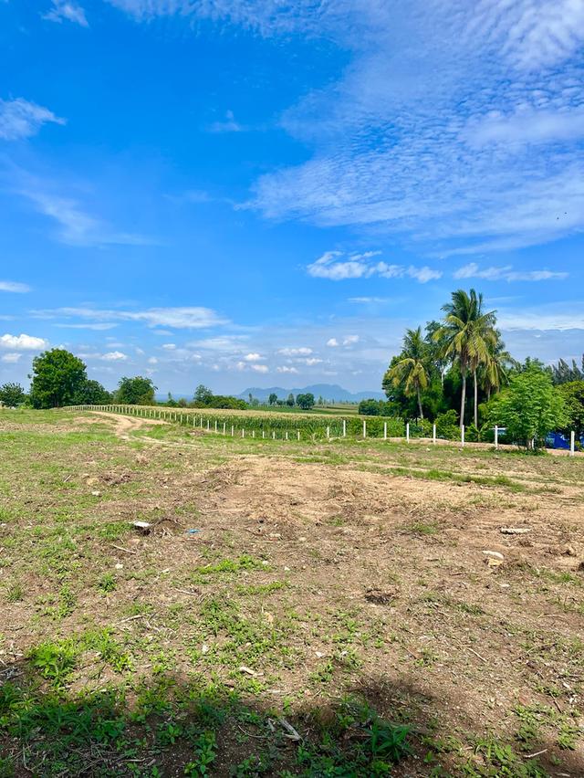 ขายที่ดินโฉนด 300 ไร่ ติดถนนใหญ่หมายเลข 21 (ถนนสระบุรี–หล่มสัก) ใกล้ตลาดลำนารายณ์ อ.ชัยบาดาล จ.ลพบุรี 2