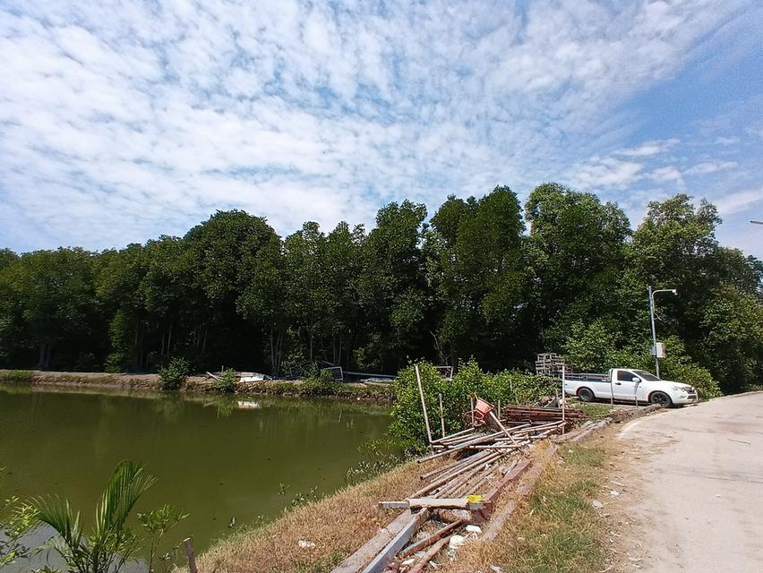 ขายที่ดิน 4 ไร่ 29 ตารางวา ซอยเทศบาลคลองด่าน 8/5 ตำบลคลองด่าน อำเภอบางบ่อ จังหวัดสมุทรปราการ 9