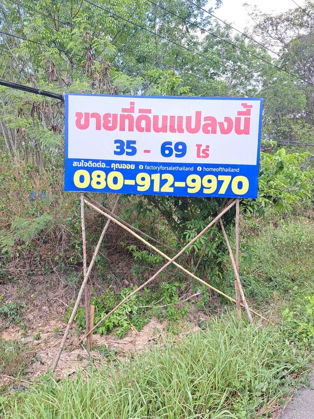 ขายที่ดินระยอง ใกล้แยกกะเฉด ที่ดินอยู่ติดถนนสุขุมวิท เป็นถนน4เลน มีที่ดิน 2 แปลงติดกันเนื้อที่ 34-69 ไร่ ใกล้แยกที่เลี้ยวไปสวนพฤกษศาสตร์ระยอง 3