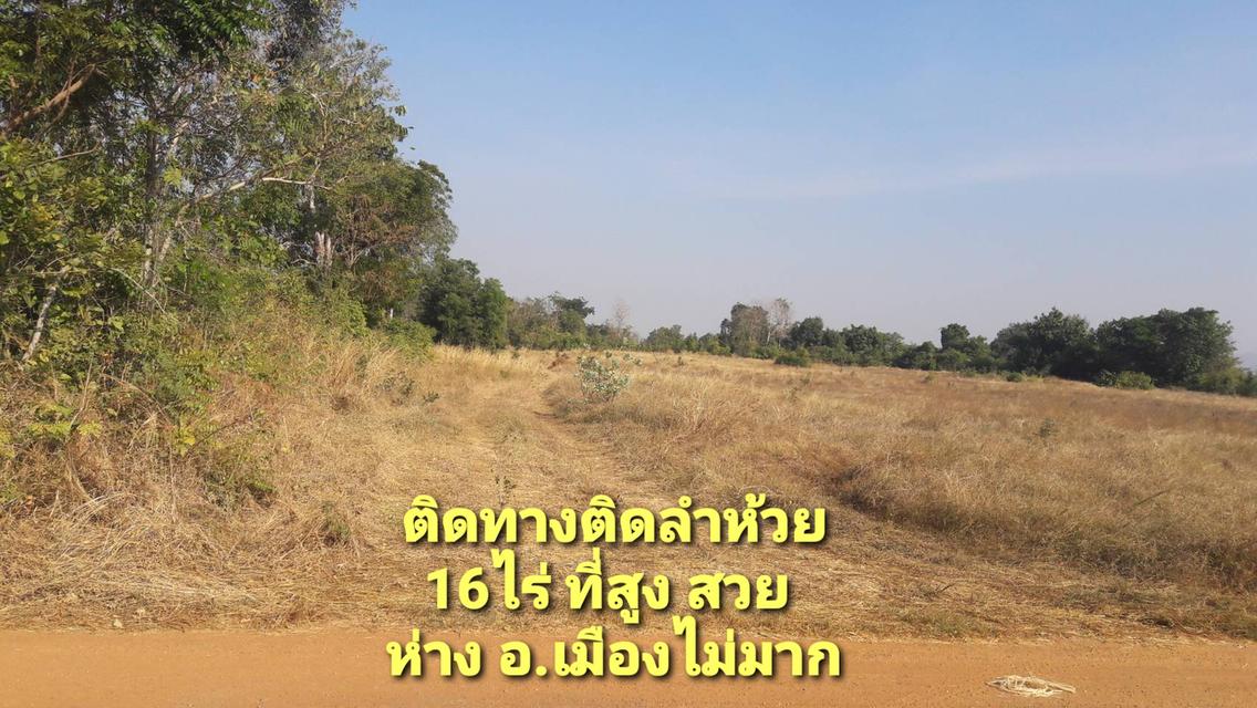 ที่ดินเขตเมืองนครสวรรค์ ด้านหน้าติดทางราดยางด้านหลังติดลำห้วย 16ไร่ ราคาถูก