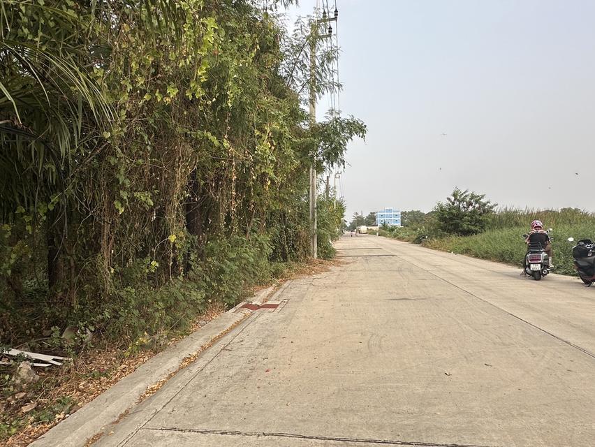 ที่ดินไม่มีสิ่งปลูกสร้าง 1