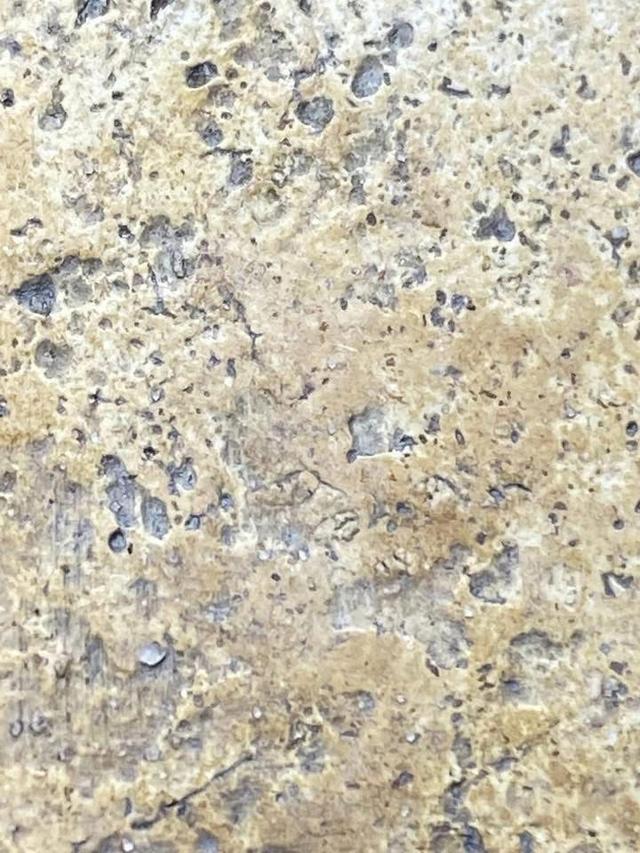 พระสมเด็จวัดระฆัง บางขุนพรรม เกศไชโย และพระเบญจภาคี รูปที่ 8