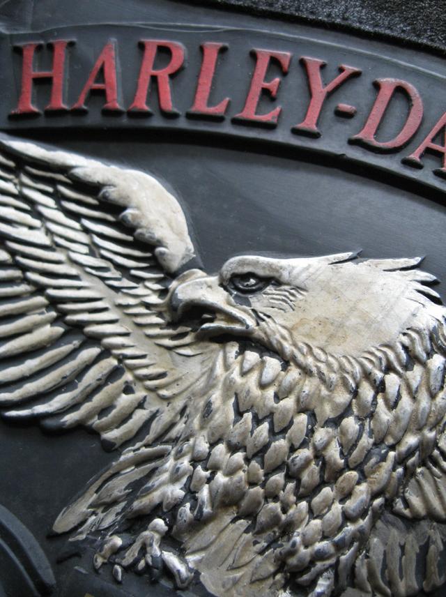 แจ็คเก็ตหนังHarley Davidson  9