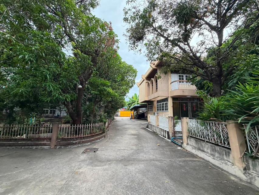 Land for sale on Sukhumvit main road 19
