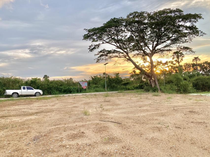 ขายที่ดินเชิงเนินถมแล้ว 194 ตรว. ใกล้ถนนเส้น36(แยกบ้านแลง)-170เมตรใกล้เซ็นทรัลระยอง-3กม. เมืองระยอง 3