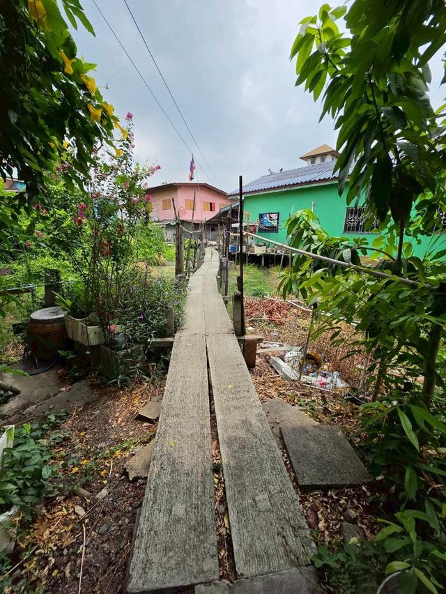 ขายที่ดิน ซอยวิภาวดี41 ซอย8(ลูกรัง) ใกล้สนามบินดอนเมือง 5