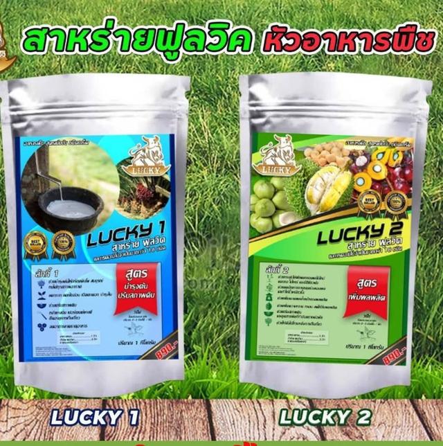 ลักกี้ นวัตกรรมอาหารพืช