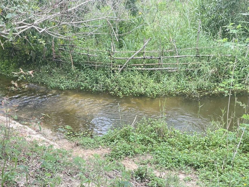 ขายที่ดินเปล่า หัวหิน ทับใต้ 12-3-13 ไร่ ติดถนน ทำเลดี ใกล้แม็คโคร ปราณบุรี 8