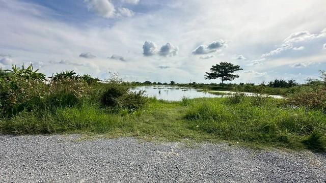 ขายที่ดินเปล่า เนื้อที่ 23-1-96 ไร่ ถนนสารีบุตร แขวงทับยาว เขตลาดกระบัง กทม. 4