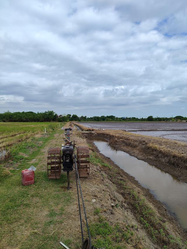 ขายที่ดิน ถนนคลองสิบ-สิบสี่ ซอย7 แขวงคลองสิบ เขตหนองจอก กรุงเทพฯ 16
