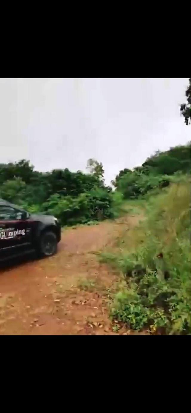 ขายที่ดินจังหสัดเพชรบุรีแก่งกระจาน 4