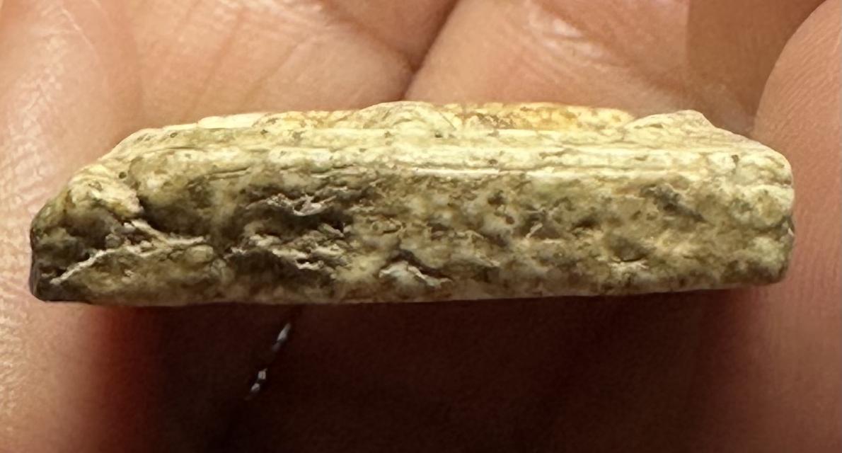 พระสมเด็จพิมพ์ใหญ่พิมพ์ใหญ่พระประธาน 7