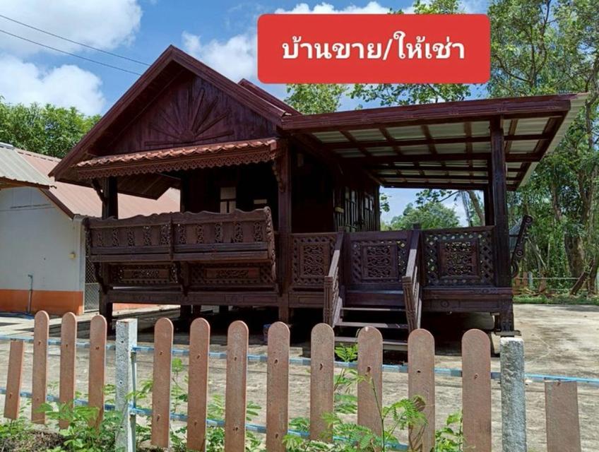 ขายบ้านพร้อมที่ดิน เนื้อที่10ไร่ อ.เพ็ญ จ.อุดรธานี  1