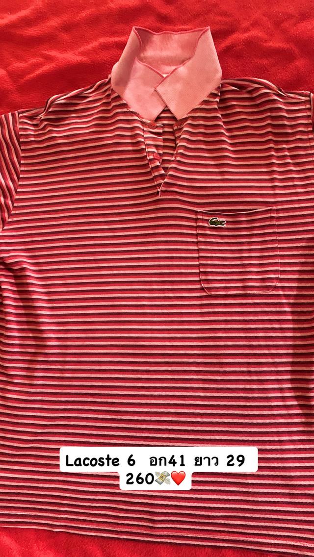 เสื้อวินเทจโปโลย้อนยุคมือสอง