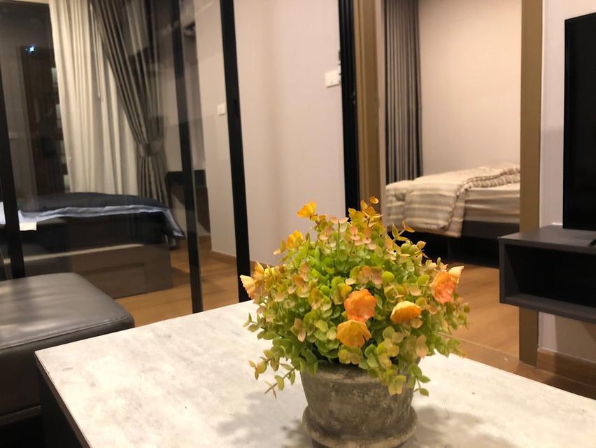 ให้เช่า The Cube Loft ศรีนครินทร์ รูปที่ 12