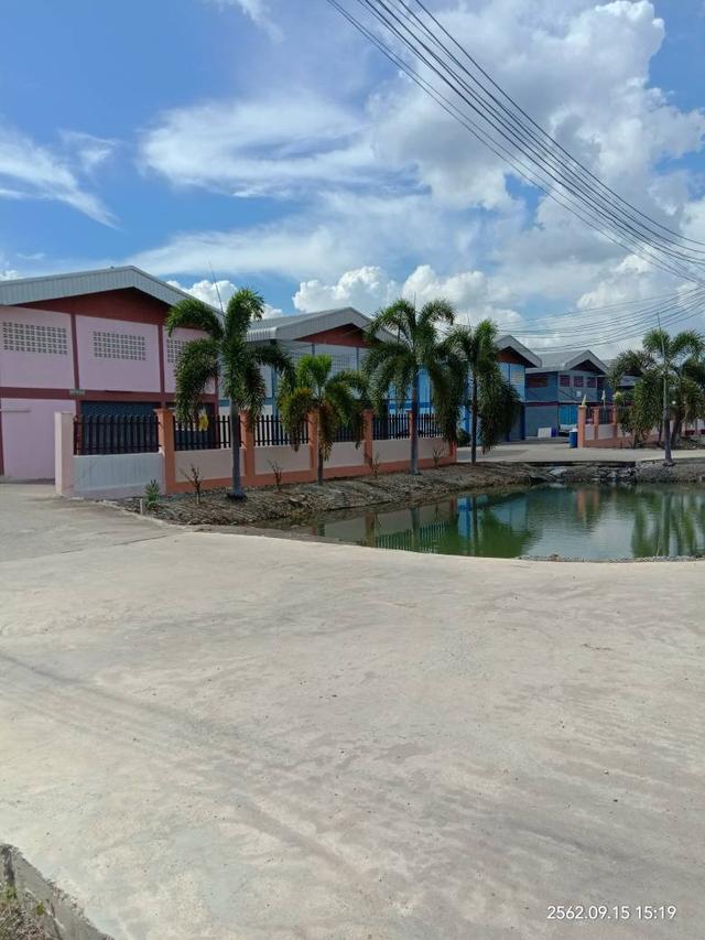 ให้เช่าโกดัง​ โรงงาน + พร้อมออฟฟิศ ลาดหลุมแก้ว ปทุมธานี ขนาด 250 ตร.ม. พื้นที่สีม่วง ทำเลสะดวก ร่มรื่นไม่แออัด 4