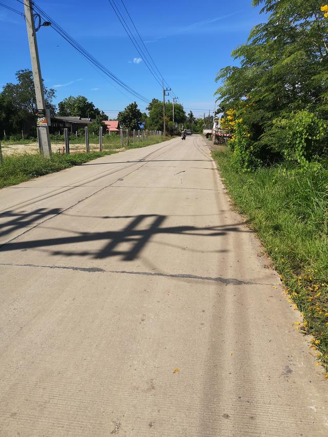 ขายที่ดิน2ไร่ ลาดหลุมแก้ว ปทุมธานี  1