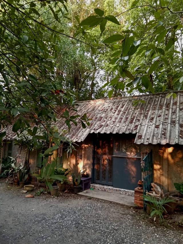 ที่ดินพร้อมบ้านเชียงใหม่ 6
