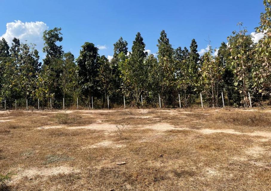 ขายที่ดินทำเลทอง 7-3-44  ไร่ ราคา 2.9 ล้านบาท ใจกลางห้างฉัตร ลำปาง 5