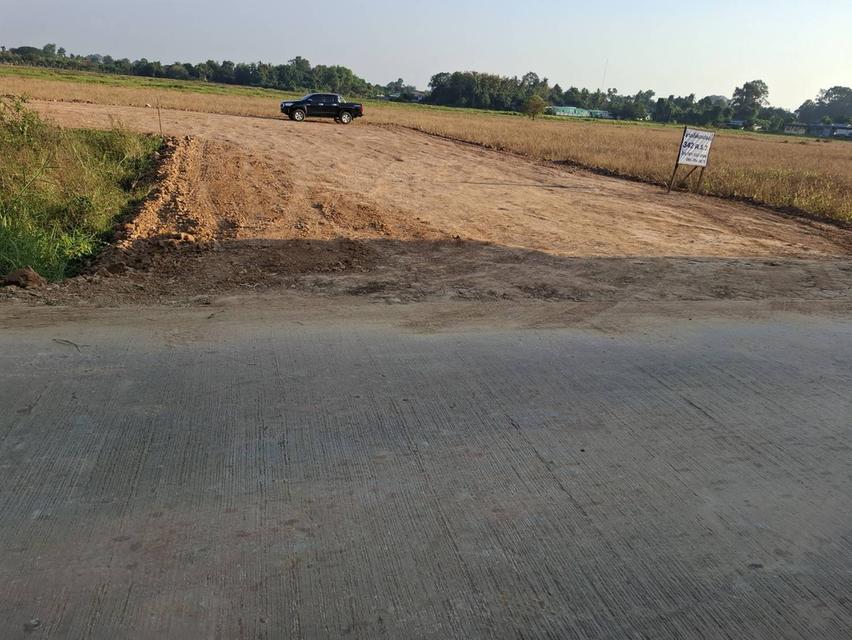 ที่ดิน ตำบลหัวรอ พิษณุโลก 7