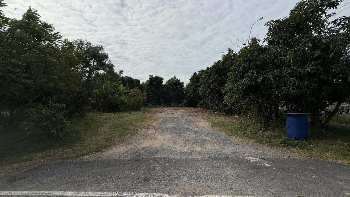 ขายที่ดินเปล่า 1 ไร่ ต.บ้านลำ อ.วิหารแดง สระบุรี หลัง รพ.วิหารแดง น้ำประปา ไฟฟ้าพร้อม บรรยากาศดี เหมาะสำหรับการพักอาศัย Tel 0818413784 3