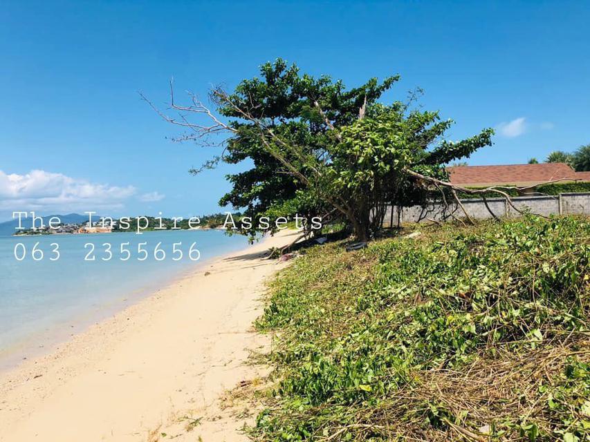 รูป ขายที่ดินติดหาดสมุย Land for sale in Samui 6