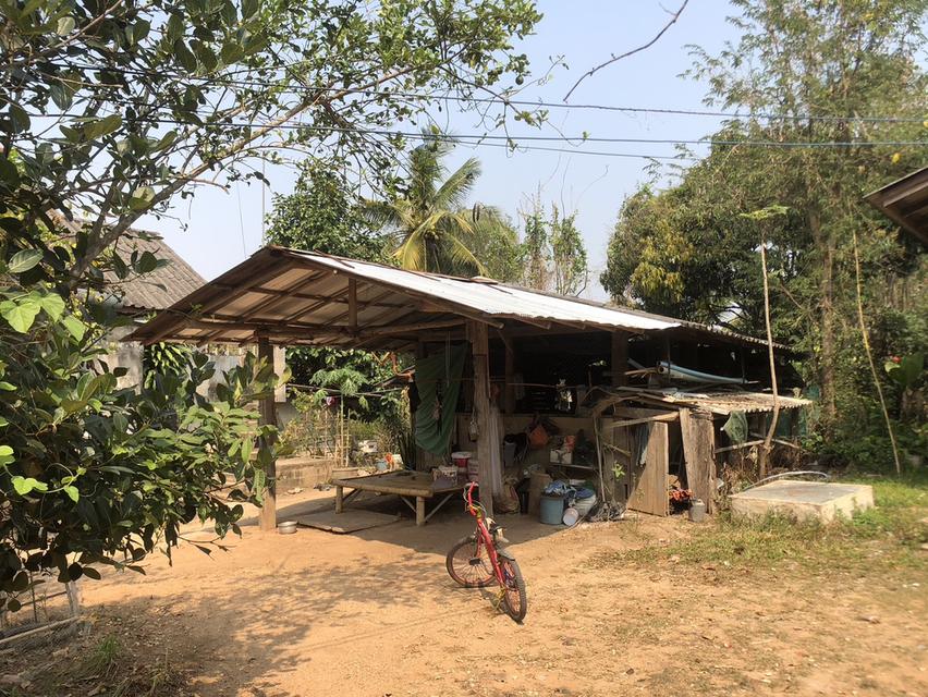 ขาย 230,000 บาท ที่ดิน 92 ตารางวา วังเหนือ ลำปาง  098 7755 808 7