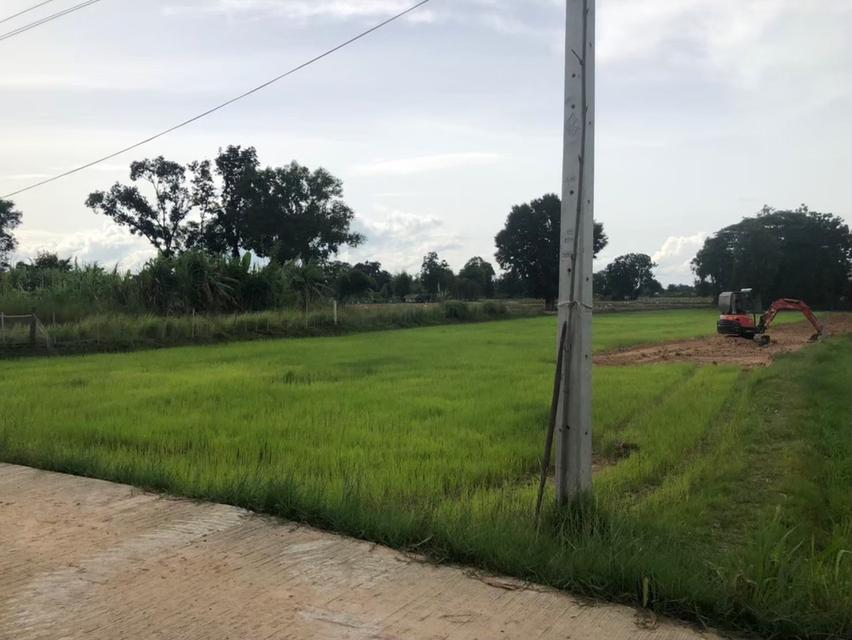 เจ้าของขายเอง ขายที่ดิน 5 ไร่กว่า ติดถนน น้ำ-ไฟ ถึง ห่างสถานีรถไฟ อำเภออุทุมพรพิสัย 5 กิโล เดินทางสะดวกมาก 1