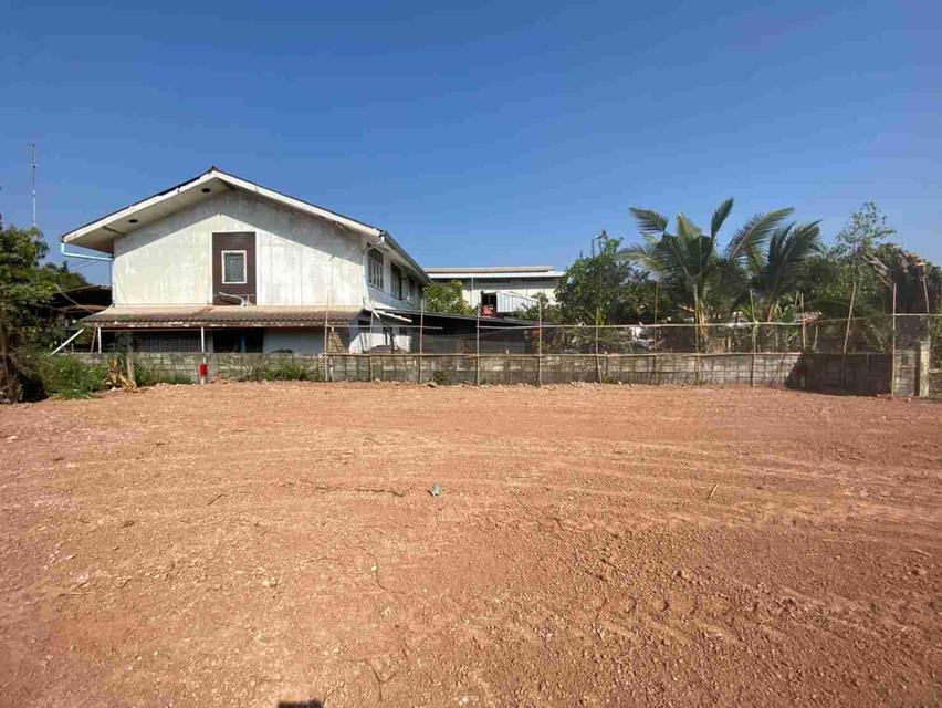 ขายที่ดินหนองคาย 1 งาน 1,400,000 บ. 1