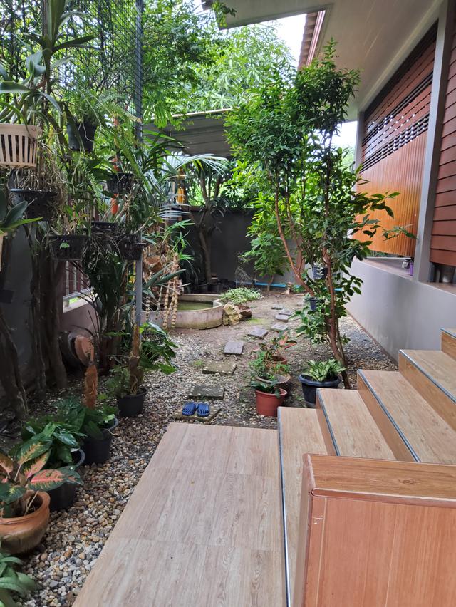 บ้านเดี่ยว(สร้างเอง) 93 ตร.วา ต.ราษฎร์นิยม ไทรน้อย นนทบุรี (เจ้าของขายเอง) 17